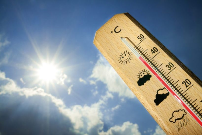 Integratori per combattere l' affaticamento da caldo estivo